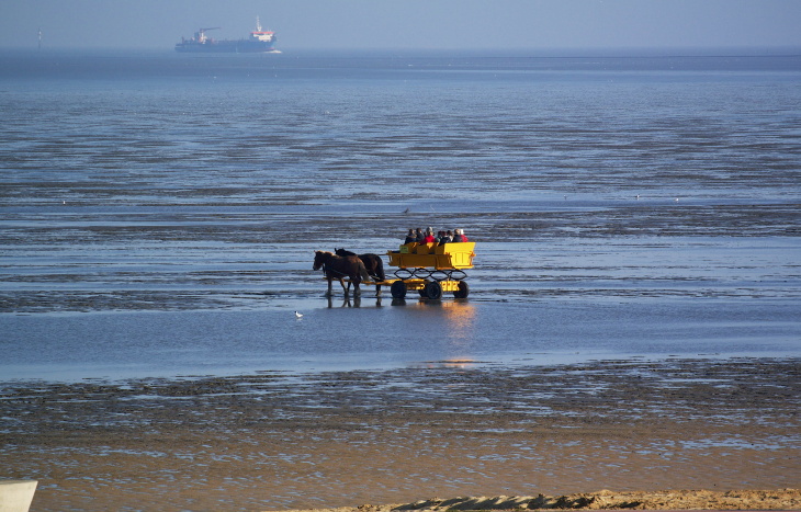Picture of a horse-drawn carriage in the Wadden Sea